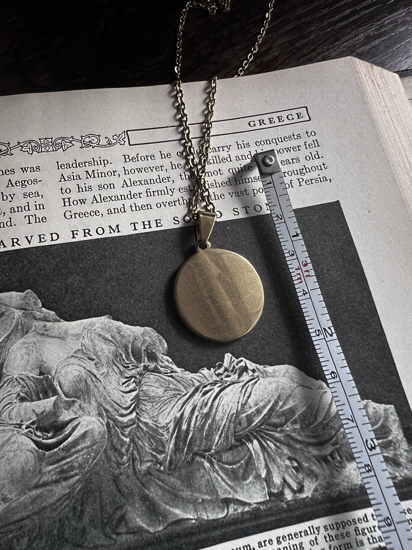 VAIGE Dried Flower Gold Circle Necklace