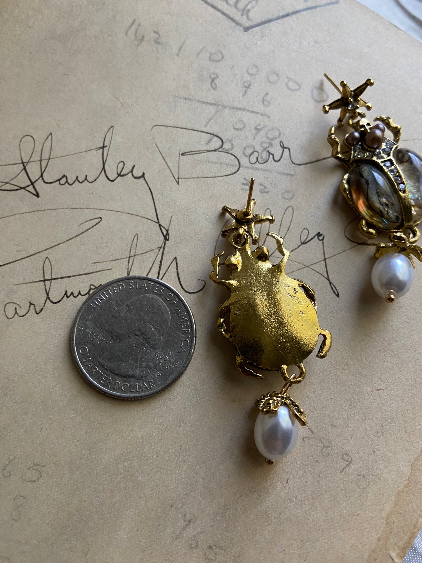 Beetle insect earrings