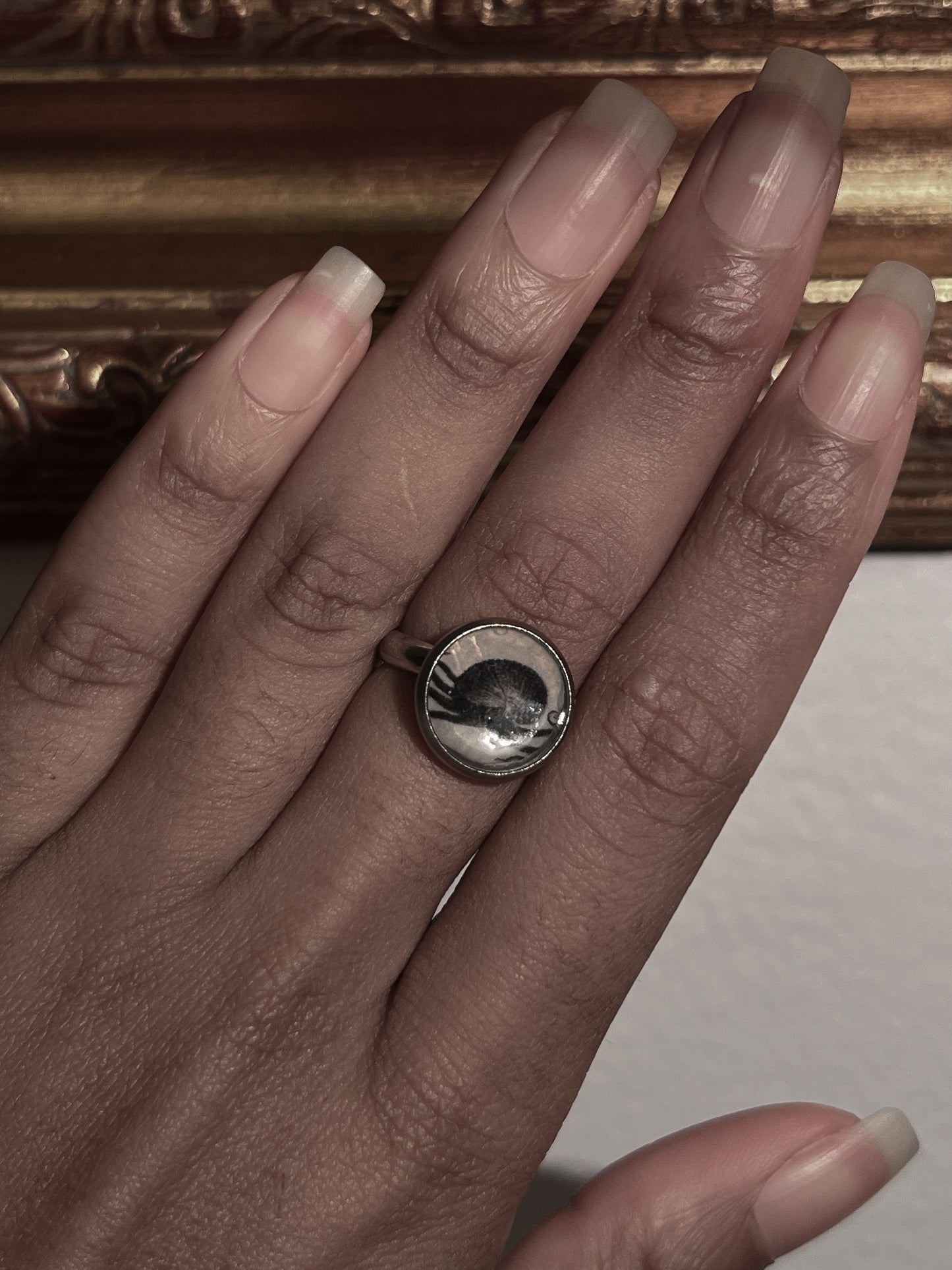 VAIGE Imperfect! Silver ammonite / squid sea creature adjustable ring
