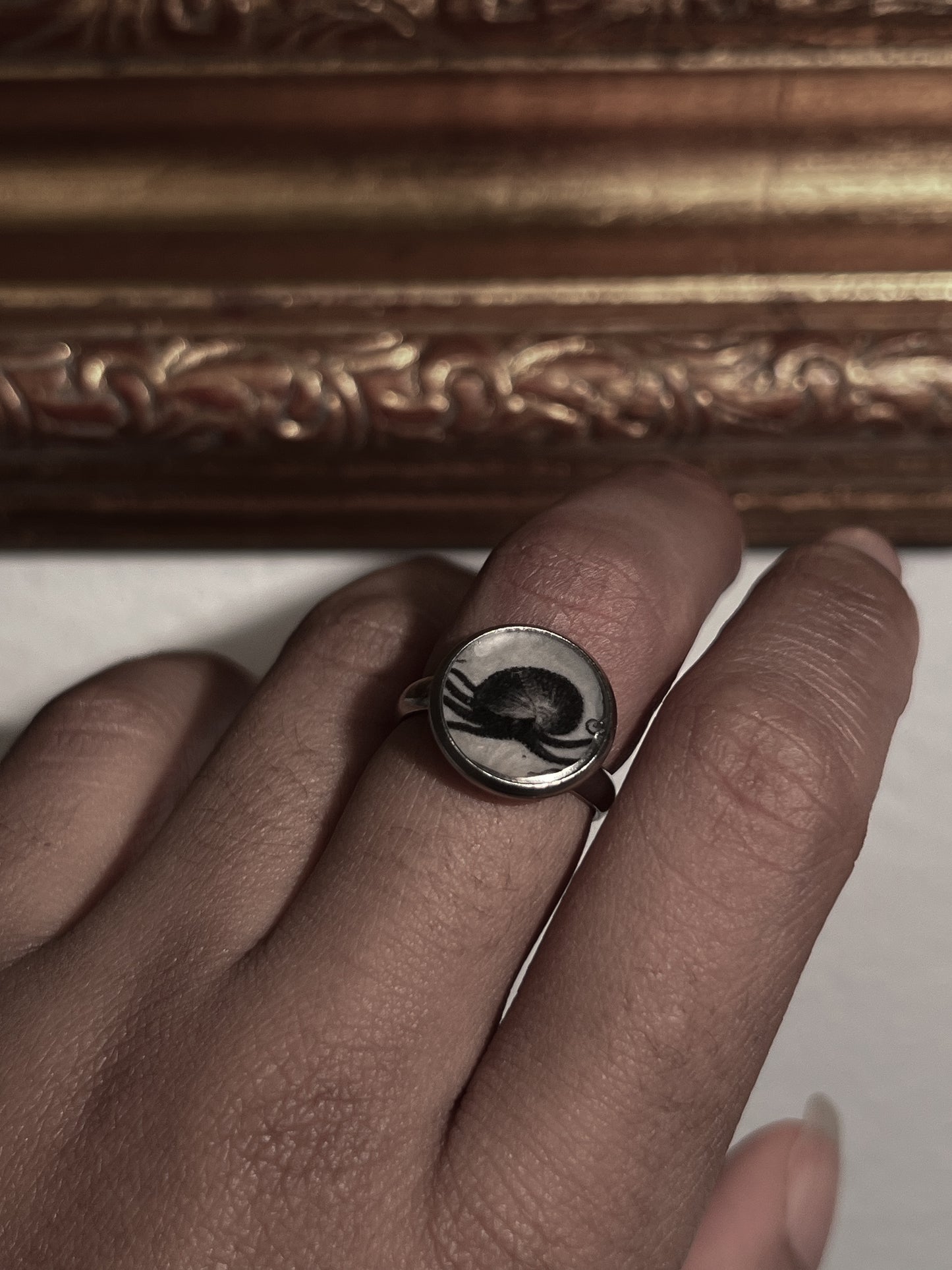 VAIGE Imperfect! Silver ammonite / squid sea creature adjustable ring