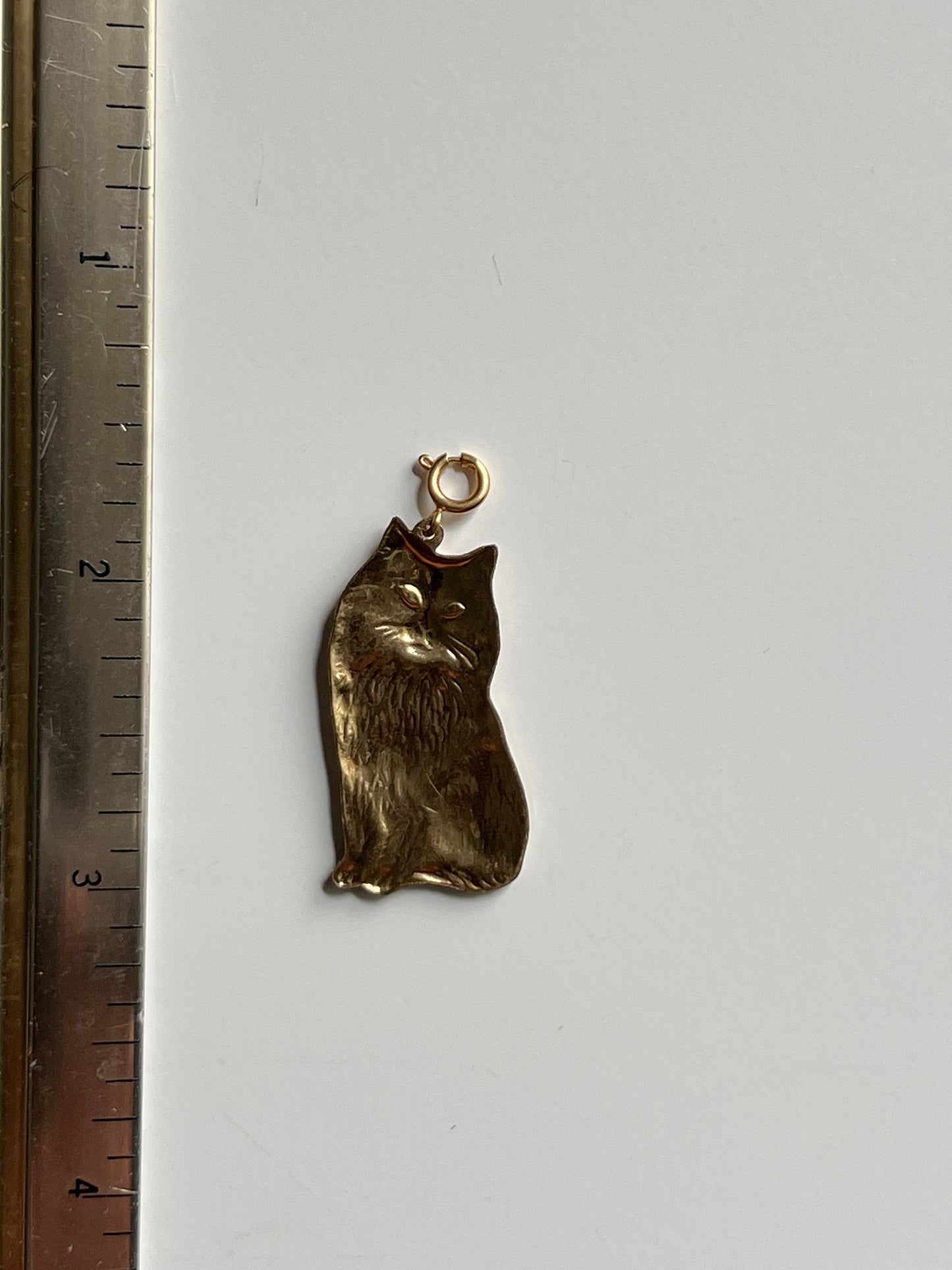 Freya Cat Journal Charm
