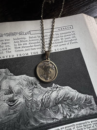 VAIGE  Dried Flower Gold Circle Necklace