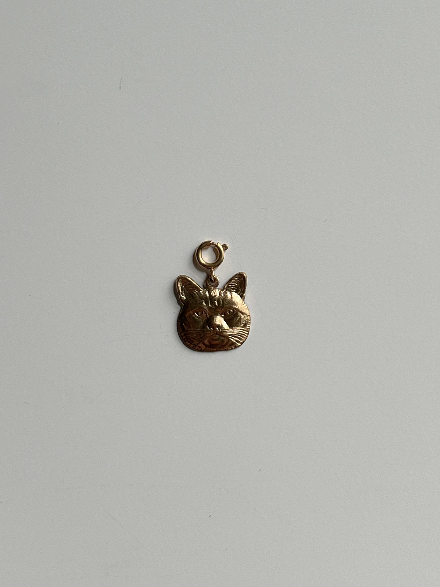 Nala Cat Journal Charm