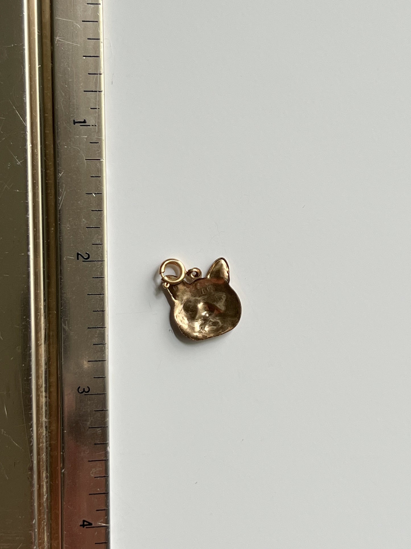 Nala Cat Journal Charm