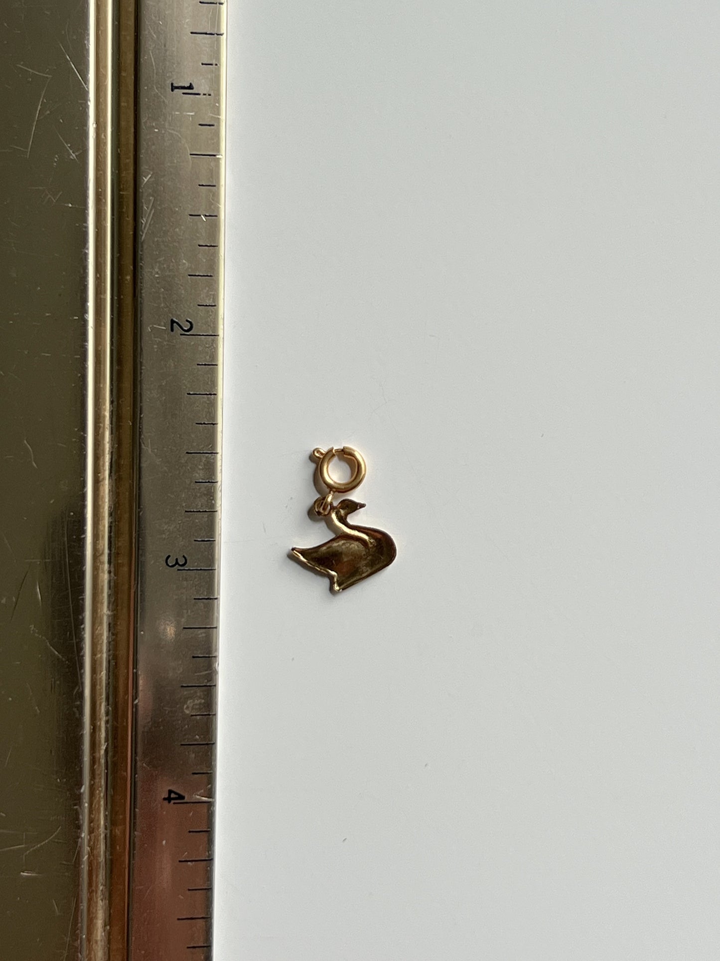 Swan Journal Charm