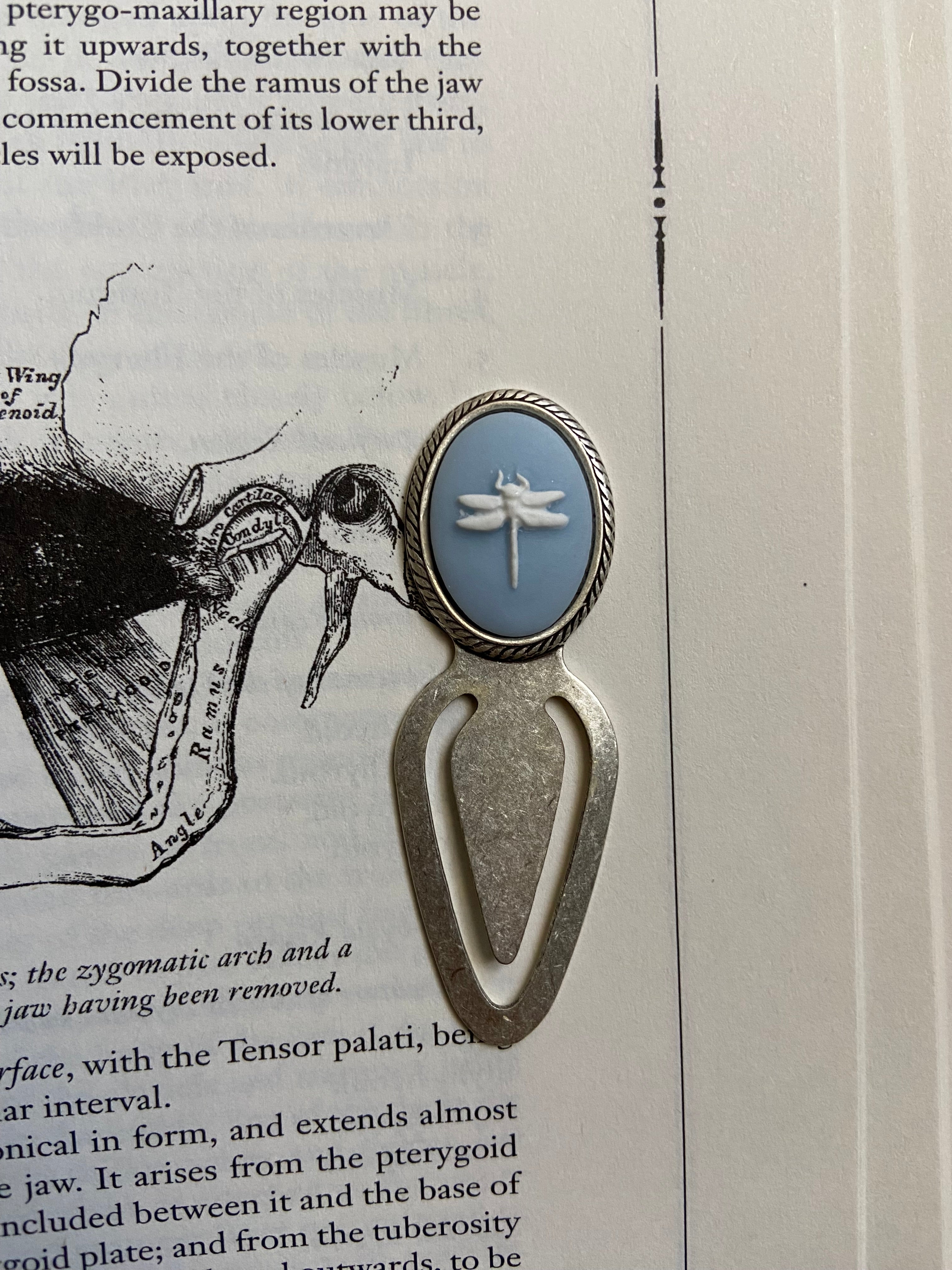 Handmade | blue dragonfly cameo bookmark