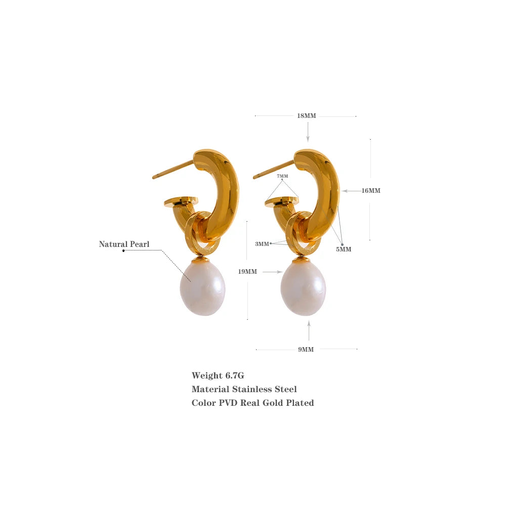 Natural Pearl Drop Earrings Stainless Steel Earrings