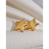 VAIGE Dazzling Gold and Silver Star Stud Earrings in Stainless Steel