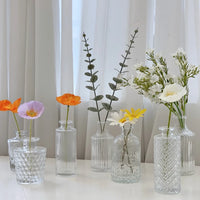 VAIGE Modern Mini Glass Flower Vase - Transparent Hydroponic Tabletop Ornament for Floral Arrangements