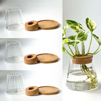 VAIGE Nordic Transparent Glass Hydroponic Plant Vase with Tray - Simple Modern Design for Tabletop Decor