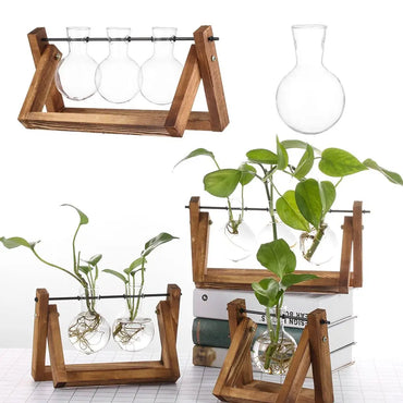 VAIGE Vintage Glass Hydroponic Plant Vase with Wooden Frame for Home Decor and Bonsai Display